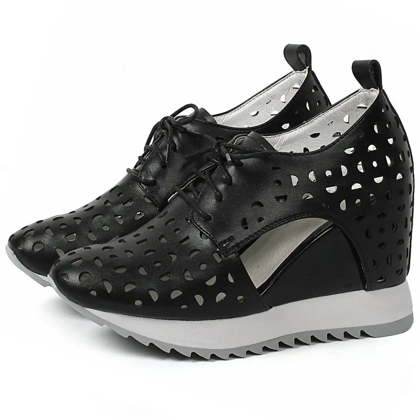 IMG_5537_副本_副本_副本_副本_副本_副本_副本