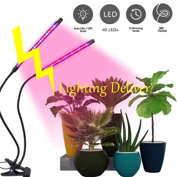 

LED Grow Light Phyto Lamp Full Spectrum Fito Lamp With Control For Plants Seedlings Flower Indoor Greenhouse Growing Lamps USB