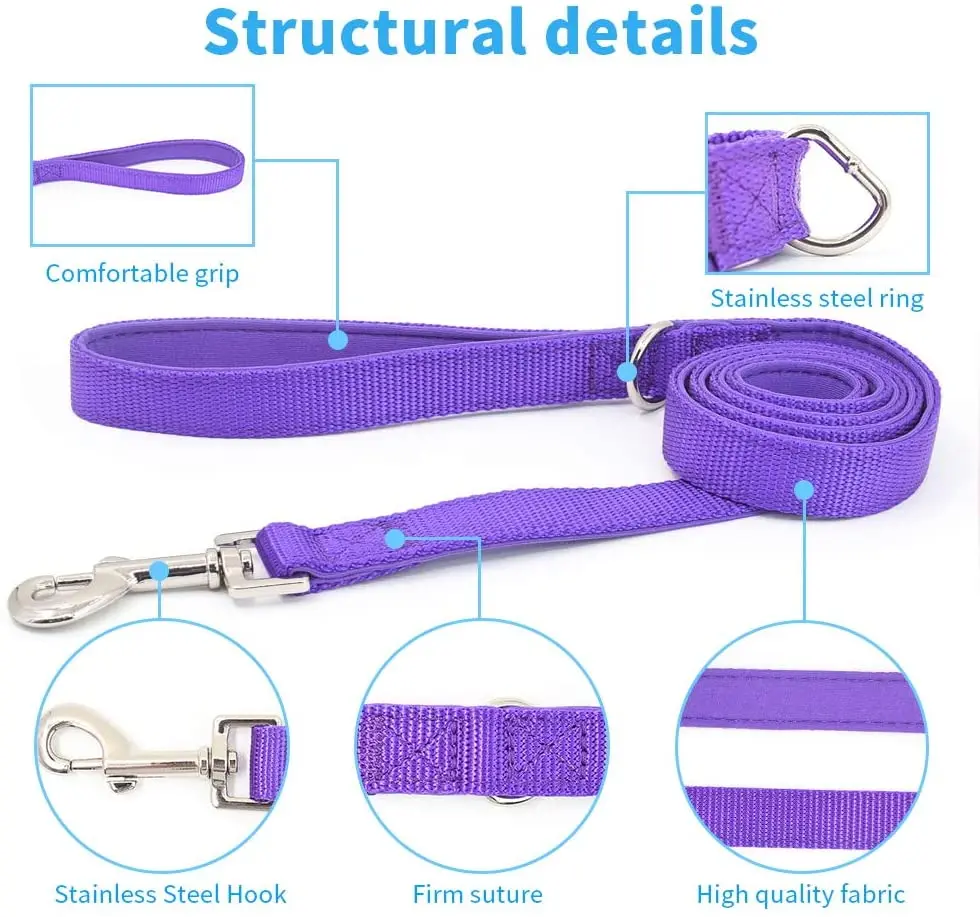 Purple4_
