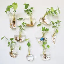 Креативная настенная стеклянная ваза цветочные горшки ручной работы ваза Террариум контейнер домашний Шар Украшение Висячие емкости для гидропоники ваза