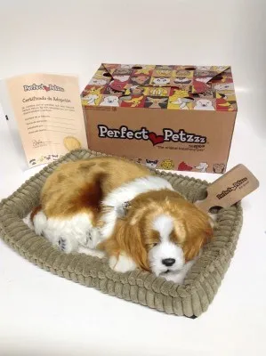 Щенок кинг чарльз спаниеля с дыханием PerfectPetzzz