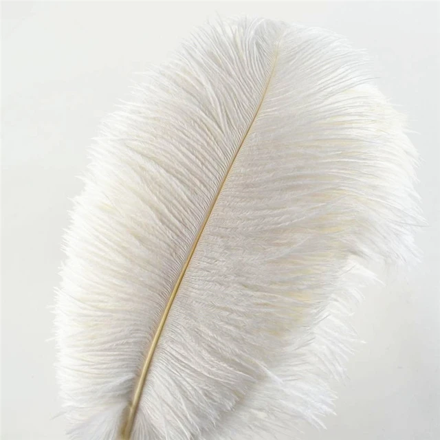 50Pcs/Lot White Ostrich Feathers for Crafts 15-70cm White Feather Decor DIY  party Wedding Accessories