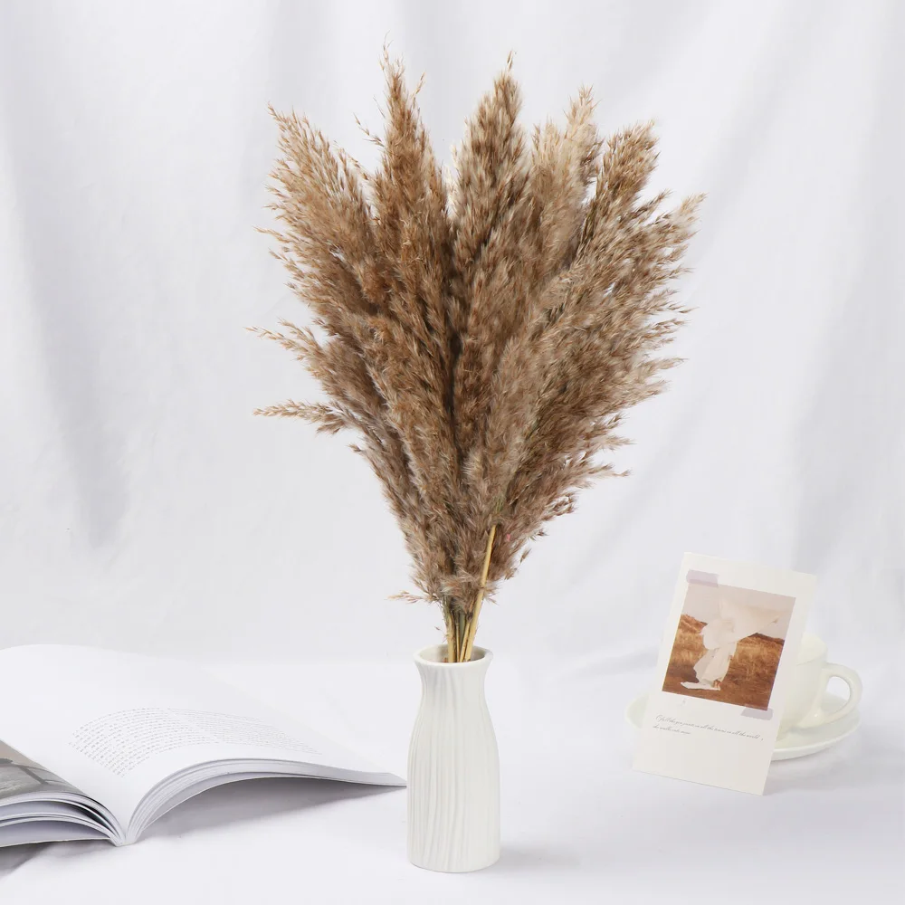 10PCS Natural Dried Bouquets Small Pampas Grass Real Flower Plant Stems Material Shooting Props Home Decoration | Дом и сад