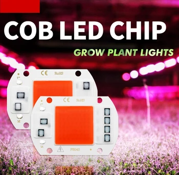 

Led Cob Chips Full Spectrum Beads Lamp 220 Volt 20W 30W 50W No Need Driver for Led Matrix Grow Plant Diy Diode for Spotlight