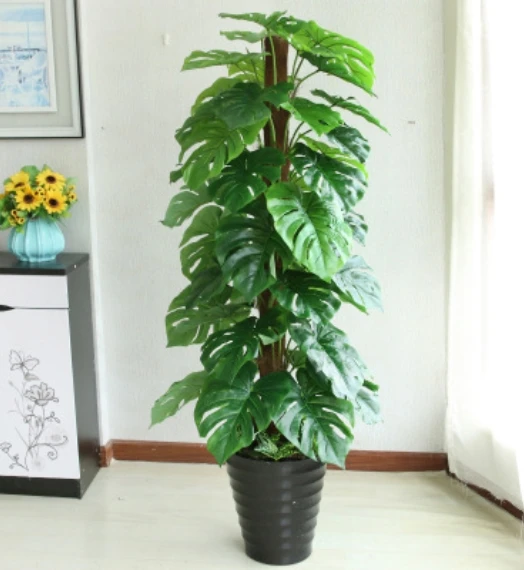 搜狗截图20年06月20日1442_2