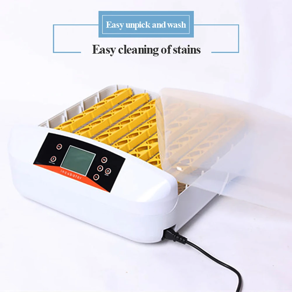 HTB1WgFJaIfrK1RjSszcq6xGGFXaC