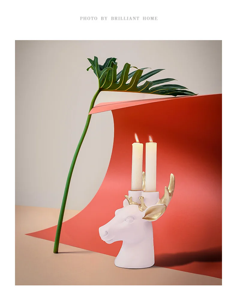 18802394751_1336098814