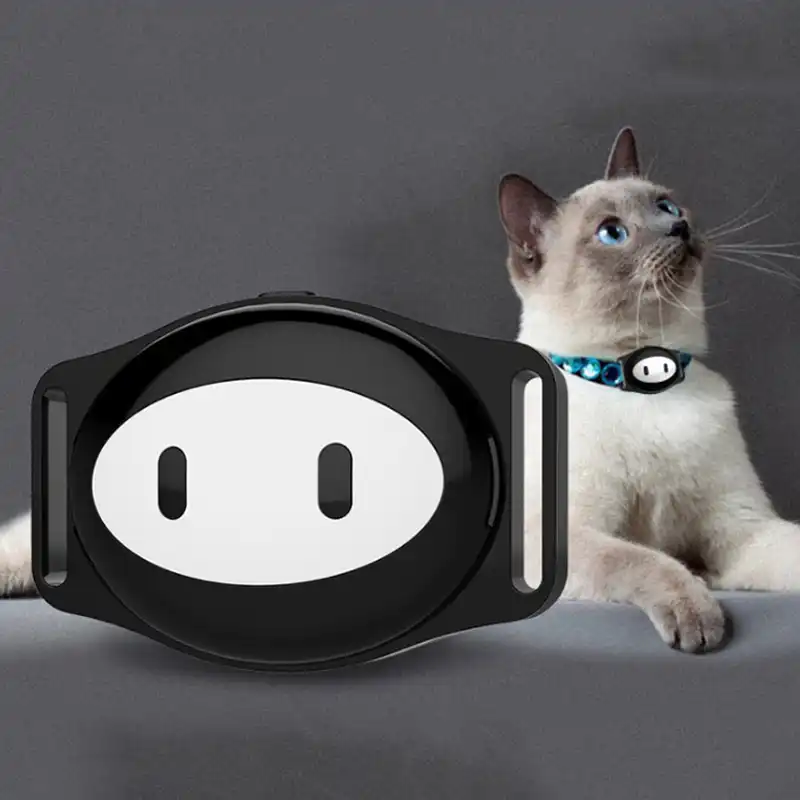 wifi cat collar