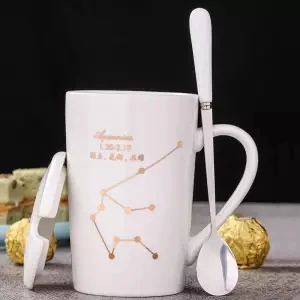 Чашка керамическая чашка кружка с крышкой с ложкой Мужская и женская пара креативная чашка Бытовая чайная чашка молочная чашка кофейная чашка Tazas стакан - Цвет: Aquarius