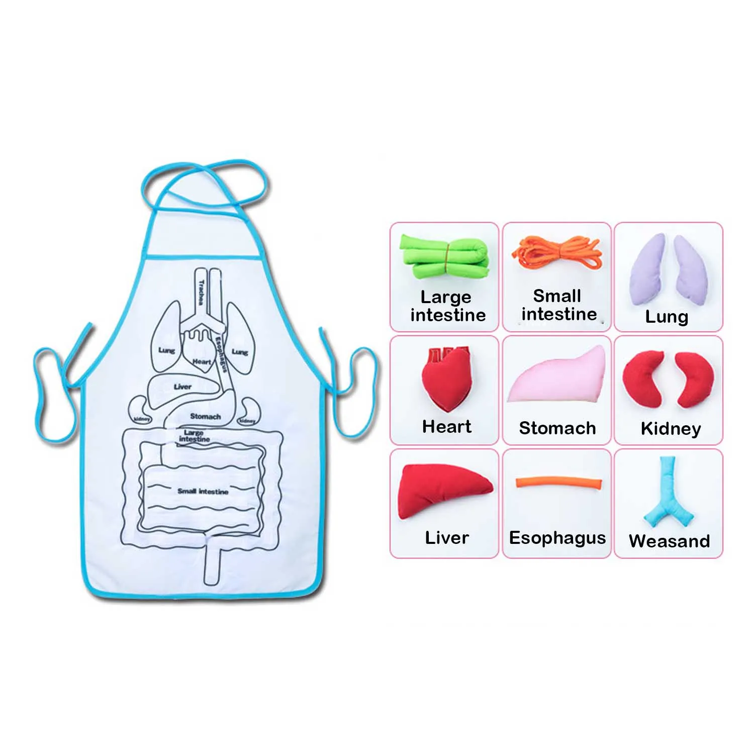  Children Anatomy Apron Human Body Organs Awareness Educational Toys for Kid Toddlers Preschool Scie - 4000302967943