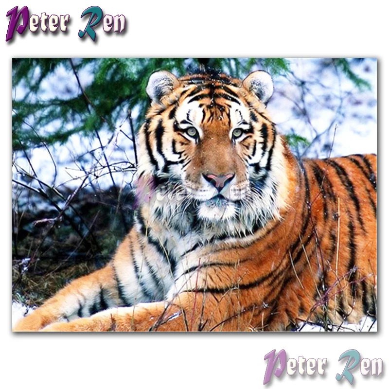 

animal painting 5d Diamond of rhinestones Embroider Staring tiger Square/round Mosaic full Cross Stitch Living room decoration