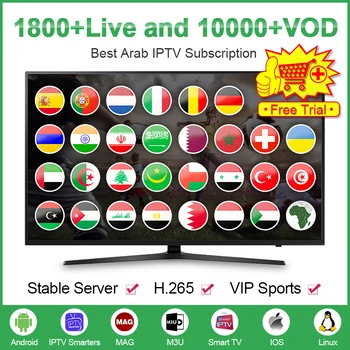 

IPTV Subscription 1 Year Poland Arabic Code IPTV Spain M3U 4k UHD Smarters IPTV Germany Belgium Portugal Dutch IP TV pk QHDTV