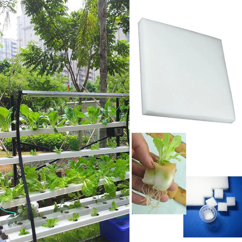 403338_c37a8156bb394e7fa398faf578653c6c