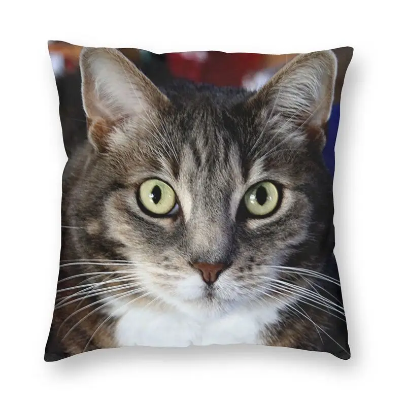 Чехол Tabby чехол для подушки с кошкой 40x40 см домашнего декора 3D рисунком котят