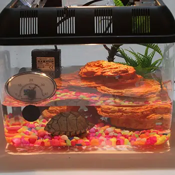 

Reptile Breeding Box-Acrylic Terrarium Containers-Portable Reptile Terrarium