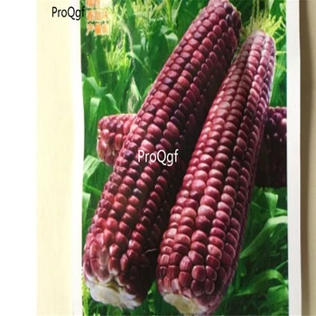 

Prodgf 200Pcs A Set purple corn