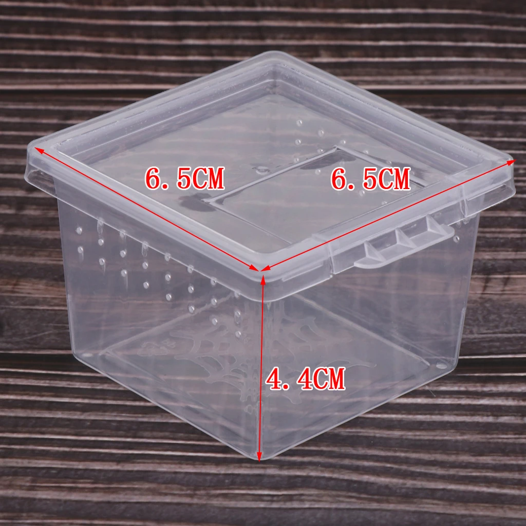 10pcs Feeding Box Reptile Cage Hatching Container Rearing Tank for Lizards Terrarium Tortoise Spider Beetle Insect House