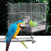 Stainless steel Birdcage Stands Bird Perch Parrot Stainless Steel Bird Standing Rod Teether M Bird cage Bird supplies