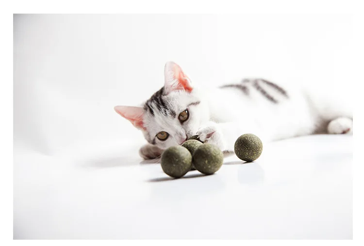 Кошка мята кошка погоня животное игрушка съедобный натуральный мяч из кошачьей мяты кошка чистка зубов игрушка здоровье и безопасность