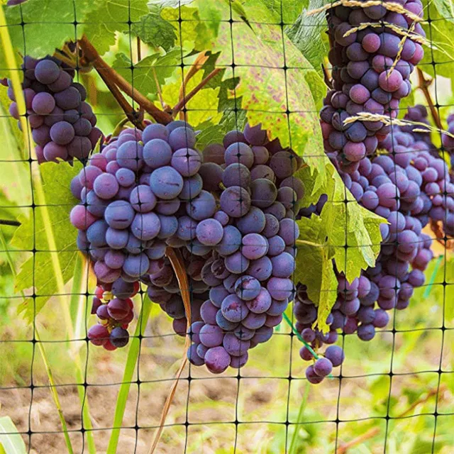 6M // 10 M/15 M/20 M Kerti Madárháló -Gyümölcsök Zöldség Növények Fa Védelem Háló Tó Kertészeti Mezőgazdasági Kerítés - Image 5