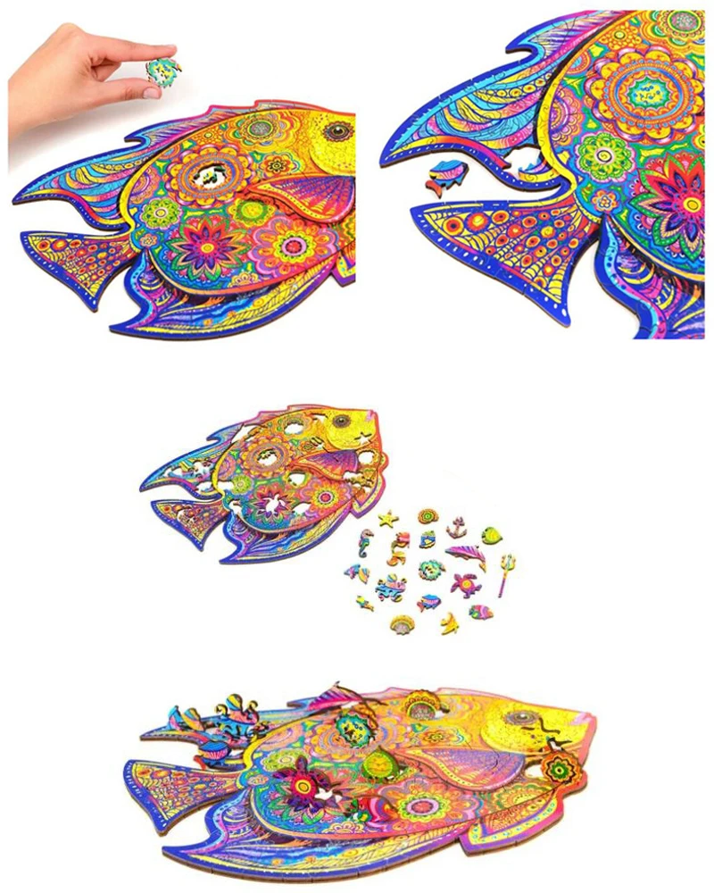 23145142691_1780124236