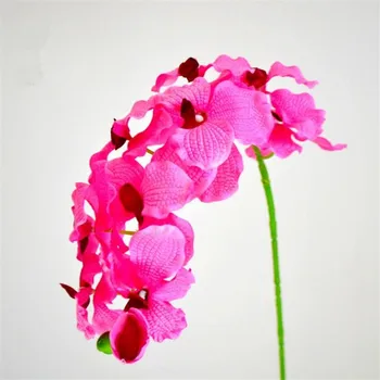 

10Pcs Fake Single Stem Vanda (10 heads/piece) 37.8" Length Simulation Orchids for Wedding Home Decorative Artificial Flowers