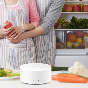 

Mini Air Purifier Refrigerator Ozone Generator Machine Deodorizer Air Cleaner