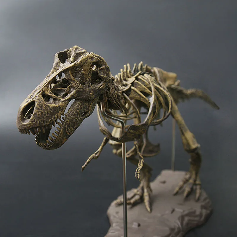 

Large Dinosaur Fossil Skull Animal Model Toys Tyrannosaurus rex Assemble the skeleton model Furnishing articles decoration