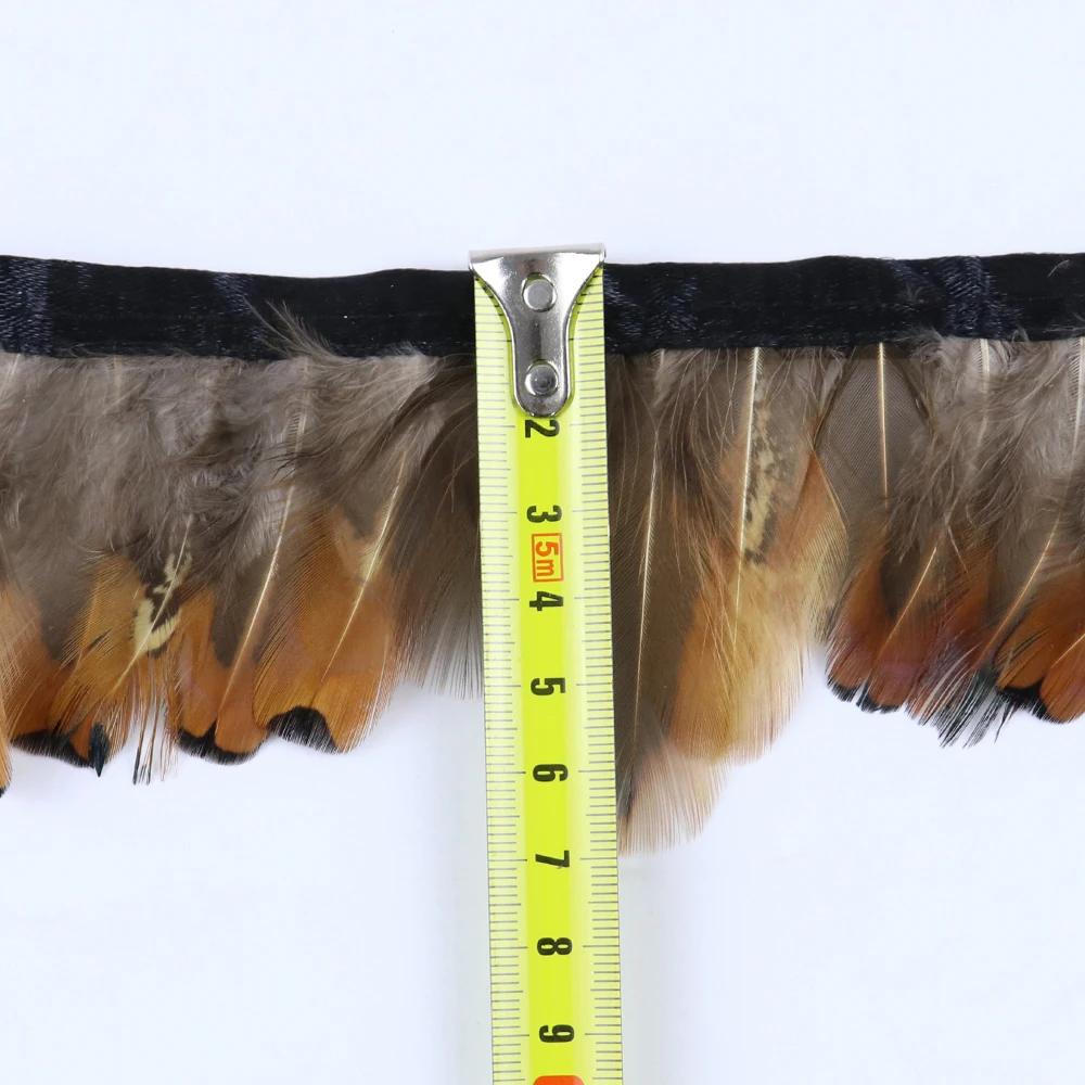 JB0608001 山鸡大点 4