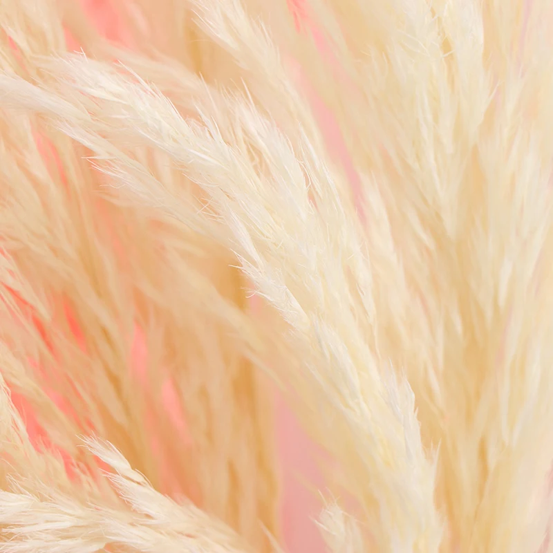 1 шт. сушеные растения пампасы трава натуральный Phragmites свадебный цветок букет сырой розовый цвет Рождественский подарок