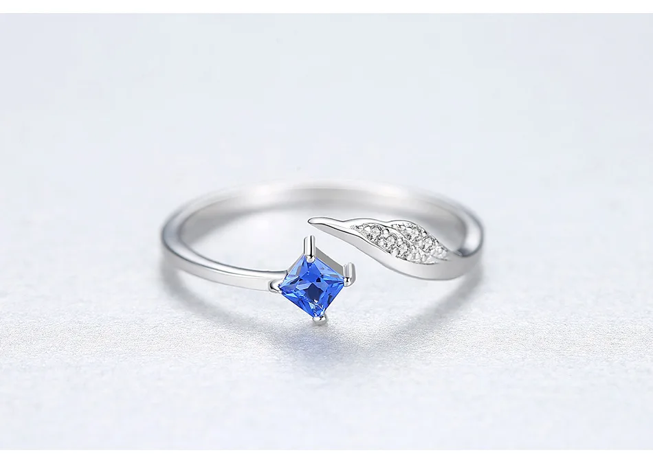 9553073573_1644834497