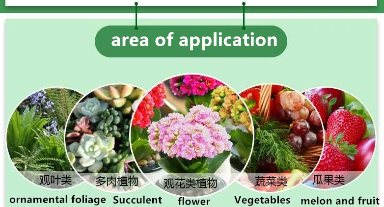 QQ浏览器截图20191121000739