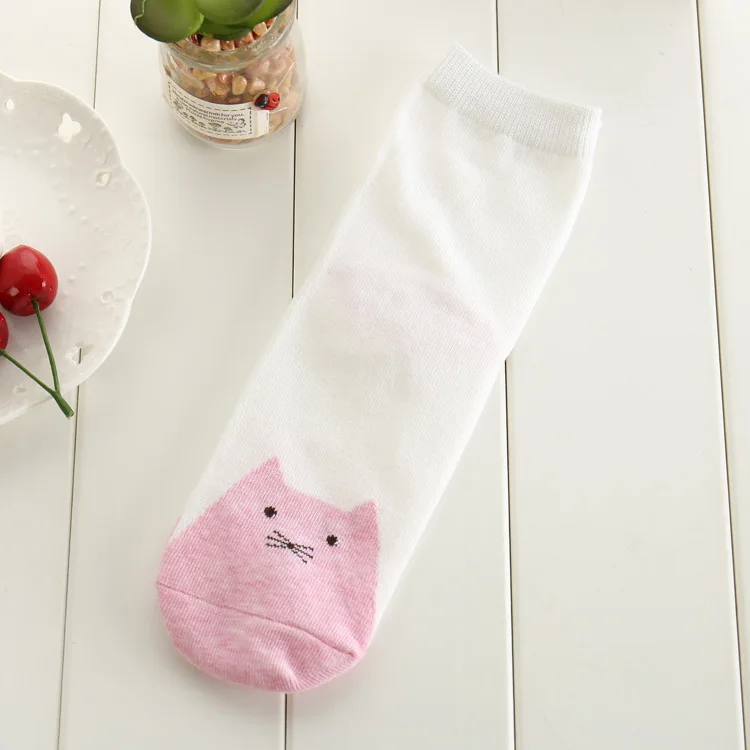 Korean version of autumn and winter models cute socks straight cat combed cotton socks candy color cotton socks