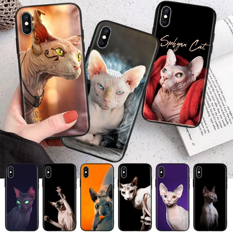 Lavaza Sphynx Sphinx Cat Silicone Case Coque For iPhone 11 Pro Max 12 Mini 13 X XS XR 7 8 6 6S Plus 5 SE Phone Shell Cover Funda