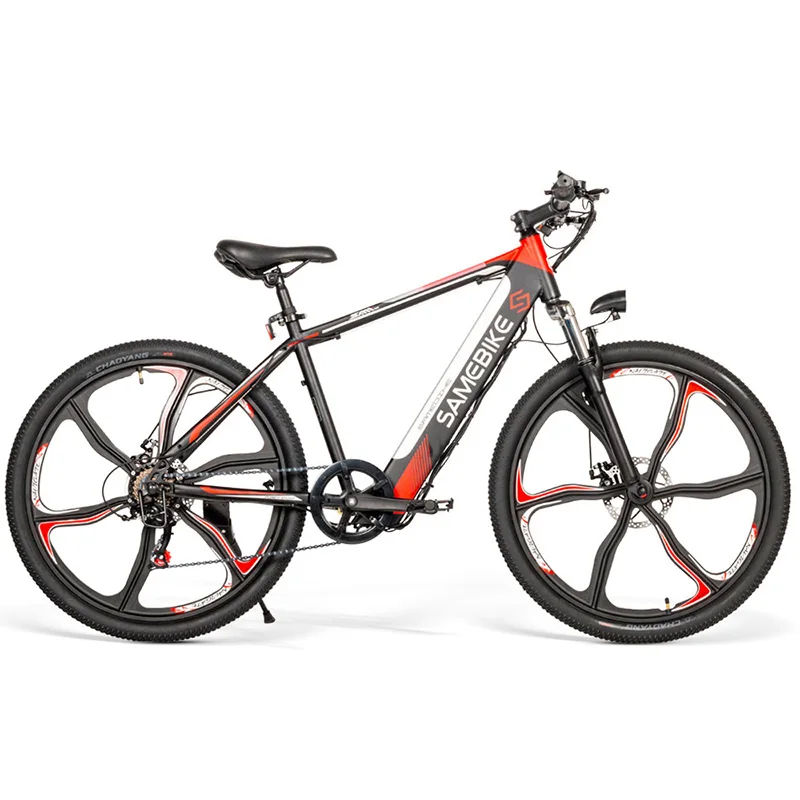 26 Inch Lithium Battery 36V 8AH 
