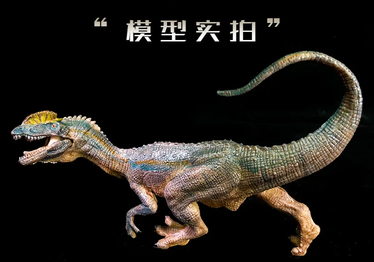 [Help Attitude Double Guanlong] игрушка динозавр Имитация Динозавра модели мальчик имитация животного T-Rex Трицератопс