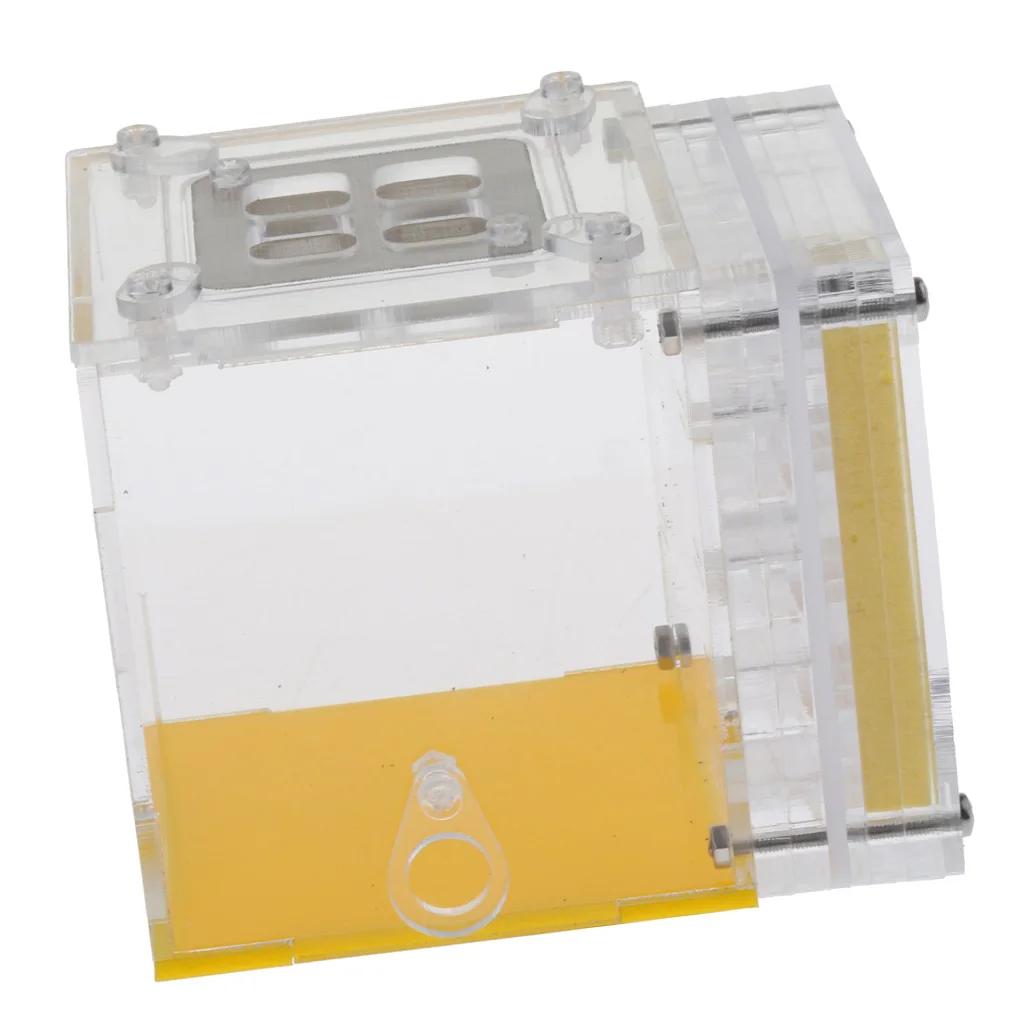 Ant Insect Pet Castle House Farms Feed Transparent Terrarium Display Box Kids Ecological Educational Toys  ( Square )