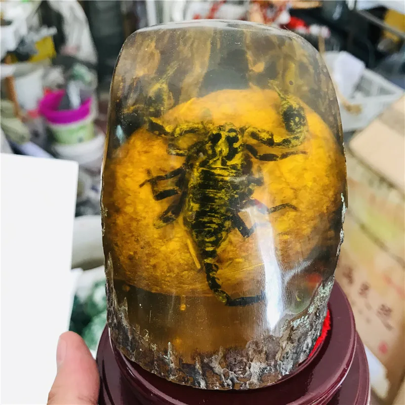 100 мм Натуральный Янтарный, Хрустальный внутри резной Скорпион драгоценный камень украшения