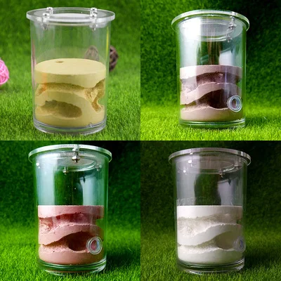 

Water Cup Small Acrylic Gypsum Cup Ant Nest Pet Ant Castle Workshop Home