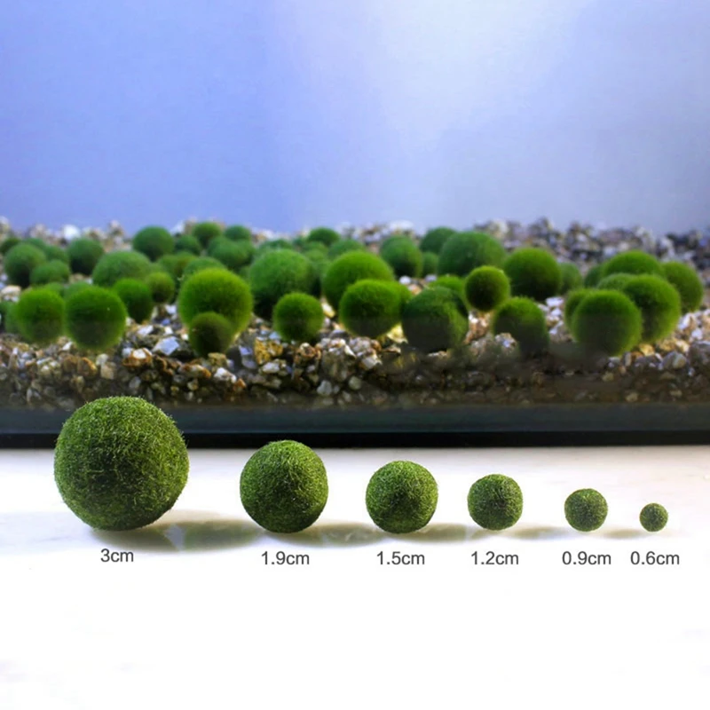 Водные декоративные шарики для мха натуральный живое растение для аквариума в форме сердца мох Marimo шар аквариум микро Ландшафтные принадлежности - Цвет: 1.2CM