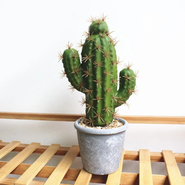 Gefälschte Topfpflanzen Kaktus Weit Gebrauch Künstliche Kaktus Exquisite  Kein Verblassen Simulation Anlage Topf Einfache Kaktus Garten Dekoration -  AliExpress