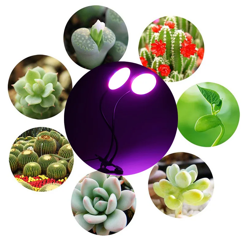 9199811800_1585587929