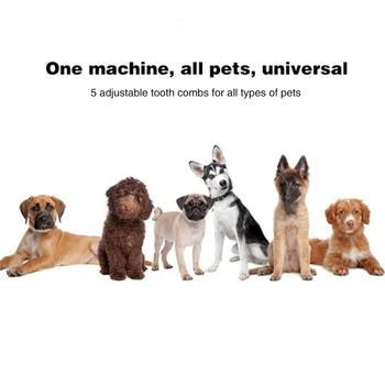 

Professional Pet Hair Trimmer USB Rechargeable Pet Harir Shaver Durable Electric Pet Trimmer Portable Dog Grooming Clippers