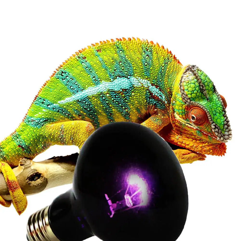 UVA Reptile Night Heating Lamp Bulb Imitation Moonlight Night Sleep Lighting Lamp for Lizard Snake Reptile Pets 220V E27