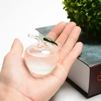 

Small Crystal Weather Forecast Bottle Glass Storm Bottle Apple Bird Shape Storm Bottle Office Decoration Gift