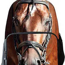 MeterMall Холст Мальчики Девочки 3D Животные Печати Рюкзак Школьная Сумка(317