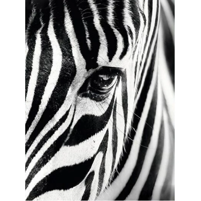 

Full Square/Round Drill 5D DIY Diamond Painting "Zebra Eyes" 3D Rhinestone Embroidery Cross Stitch 5D Home Decor Gift