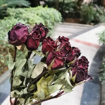 

3-4cm/10pcs,Natural Dried Roses Flower Bunch,Real Rose Bouquet For Wedding Party flower arrangement,Home Decoration accessories