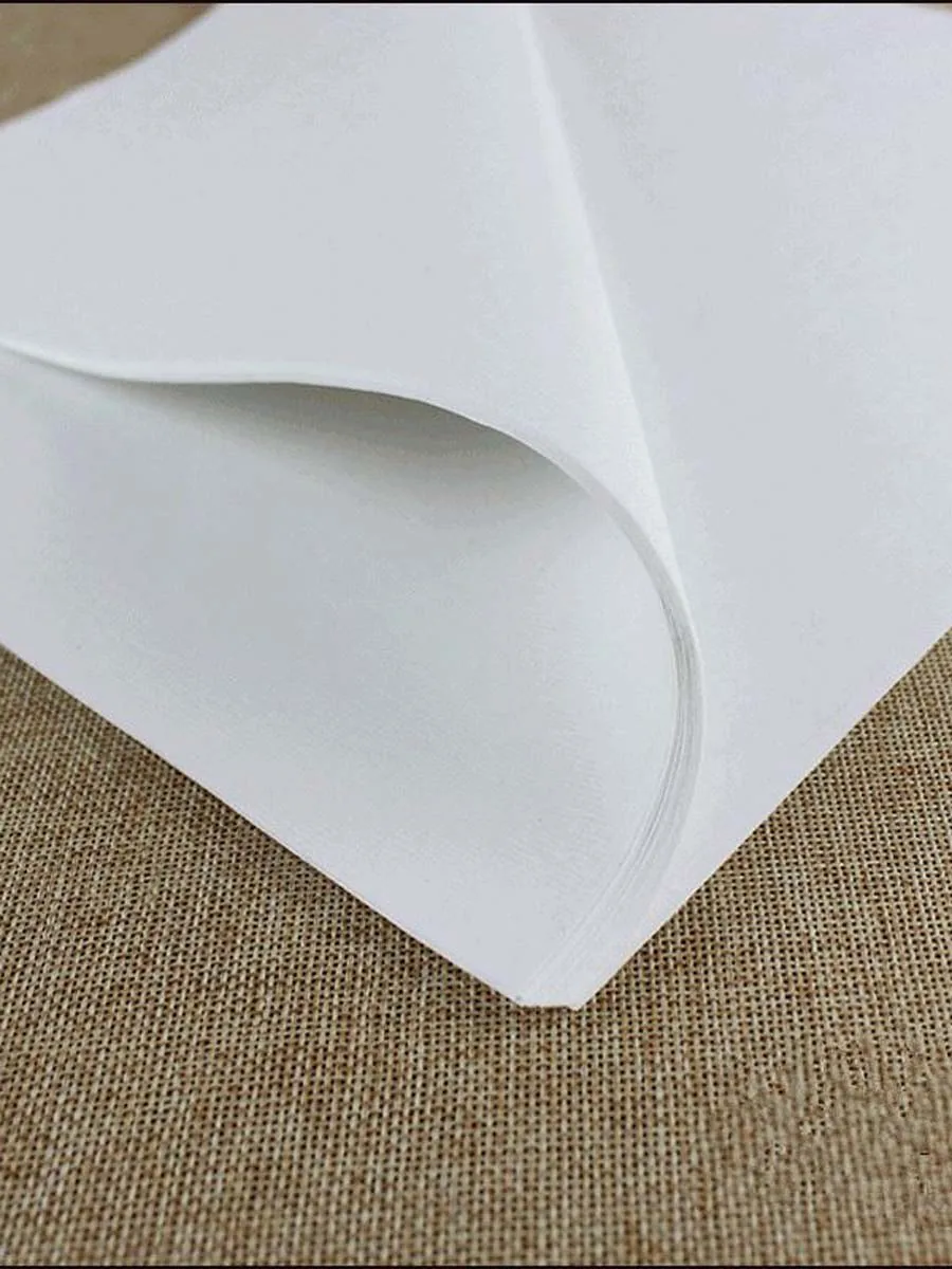 Xuan calligrafia carta riso carta scrittura a mano 36cm * 23cm pennello penna inchiostro disegno carta pittura cancelleria - immagine 3