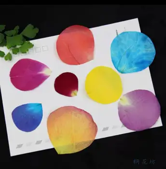 

40pcs Pressed Dried Mixed Rose petals Flower Plant Herbarium For Jewelry Postcard Bookmark Phone Case Invitation Card DIY